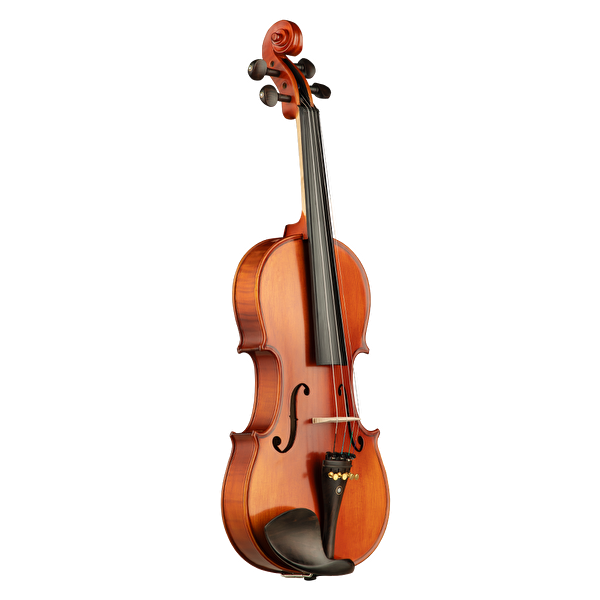 VANETTA VL-6 / 4/4 Masif Keman (Abanoz Burgu ve Aksam)